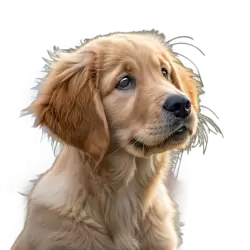 Imagen PNG para descargar